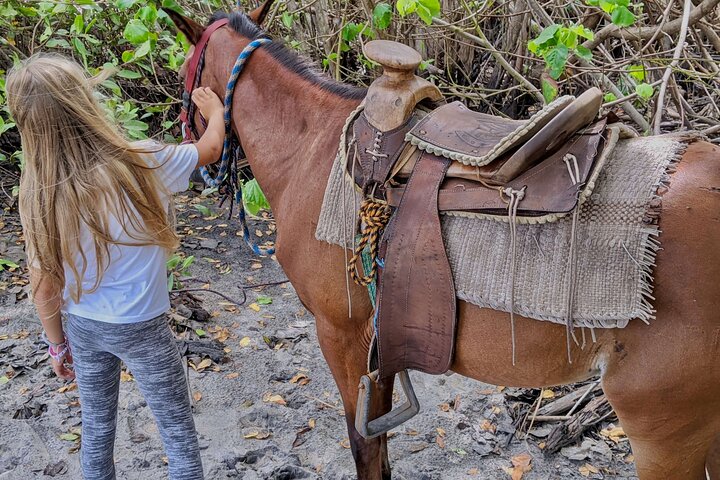 Beach Horseback Riding Adventure in Copalita, Huatulco