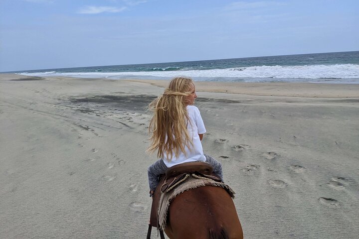 Beach Horseback Riding Adventure in Copalita, Huatulco