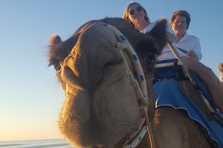 Broome Pre-sunset Camel Tour 30 minutes