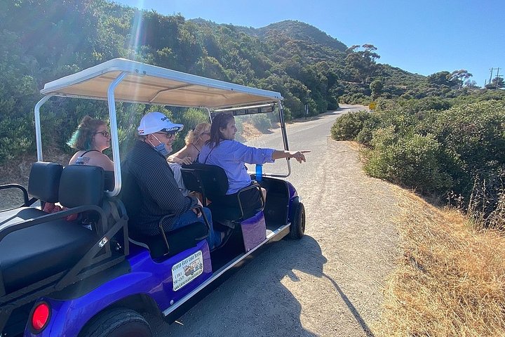 Catalina Island Private Guided Golf Cart Tour of Avalon