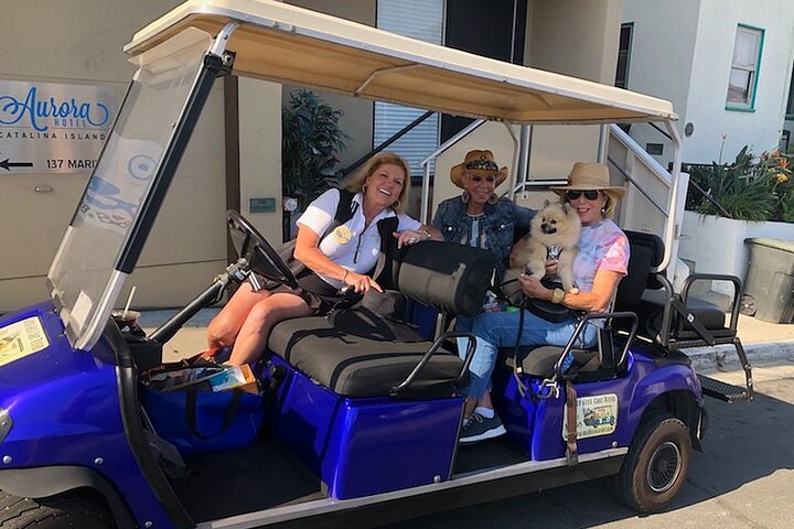 Catalina Island Private Guided Golf Cart Tour of Avalon