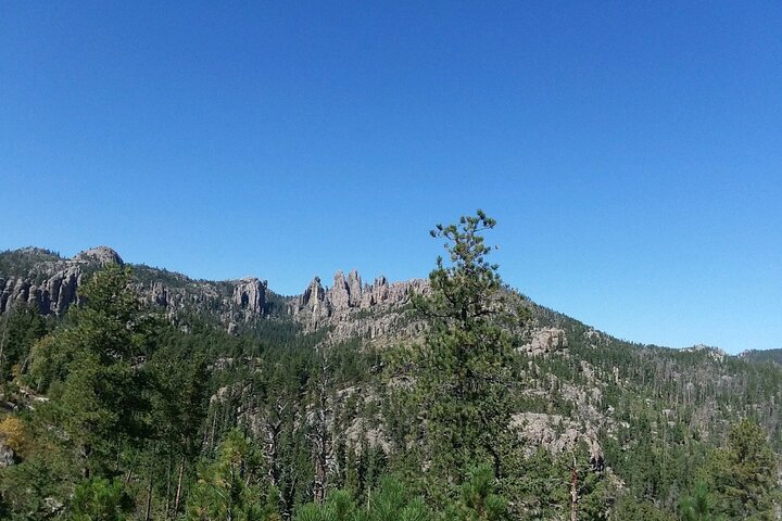 Bus Tour of Mount Rushmore and the Black Hills