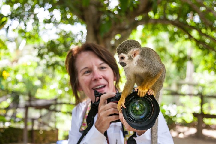 Monkeyland and Plantation Safari Tour from Punta Cana