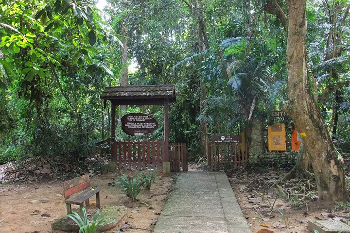 Kuala Besut to Taman Negara One Way SIC Transfers
