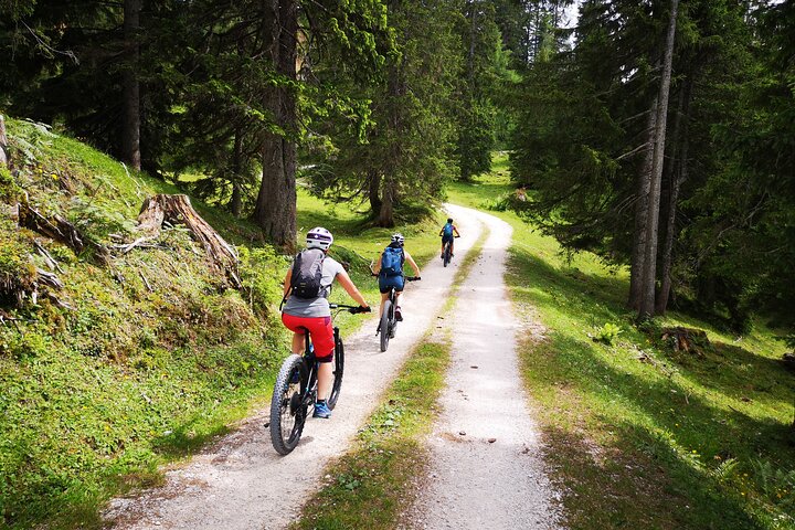 Guided e-bike tour of the alpine pastures in the Salzkammergut