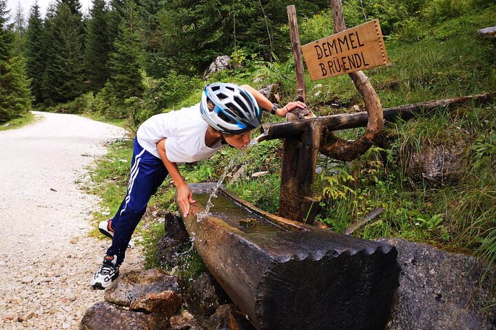 Guided e-bike tour of the alpine pastures in the Salzkammergut