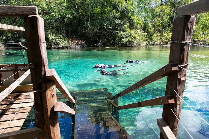 Snorkeling Rio Da Prata Tour