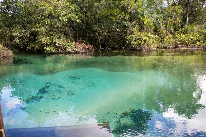 Snorkeling Rio Da Prata Tour