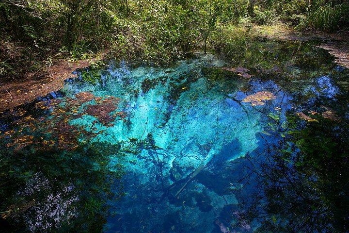 Snorkeling Rio Da Prata Tour