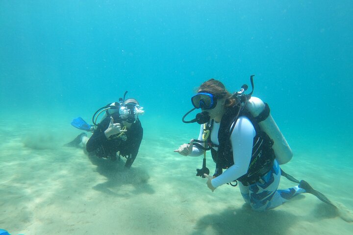 Beginner Scuba Diving Guided Tour - No Experience Required