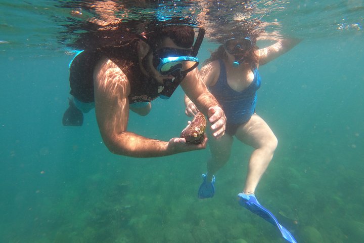 Coral Reef Snorkel Adventure with Photos and Videos