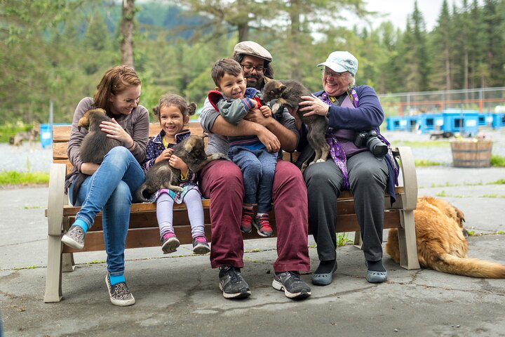 Turning Heads Kennel Dogsledding Experience & Tour
