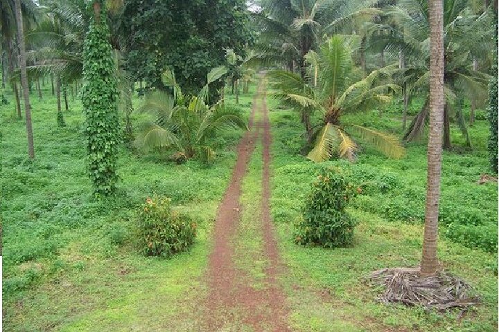 Excursion To Karkala And Moodabidri From Mangalore with Lunch