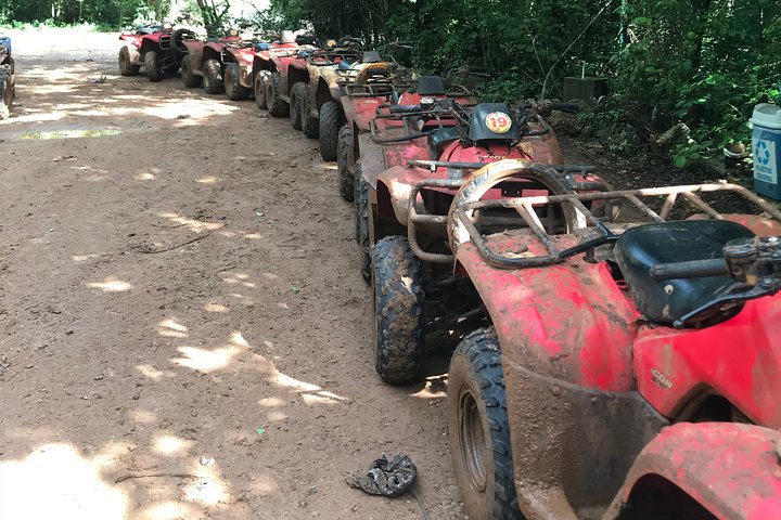 Cancun Best ATV Tour, Ziplines and Cenote Swim with Lunch