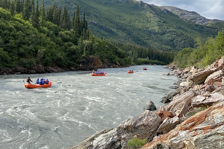Denali Rafting Wilderness Wave