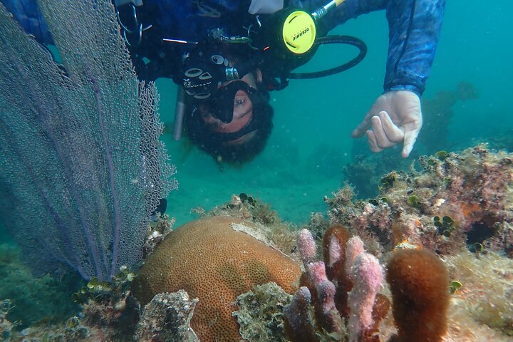 Experience Scuba Diving / NO certification Needed
