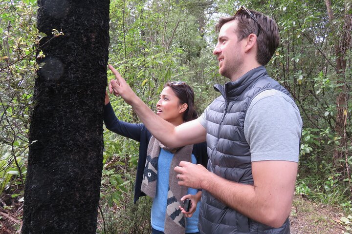Full-Day Abel Tasman National Park Hiking Tour with Cruise