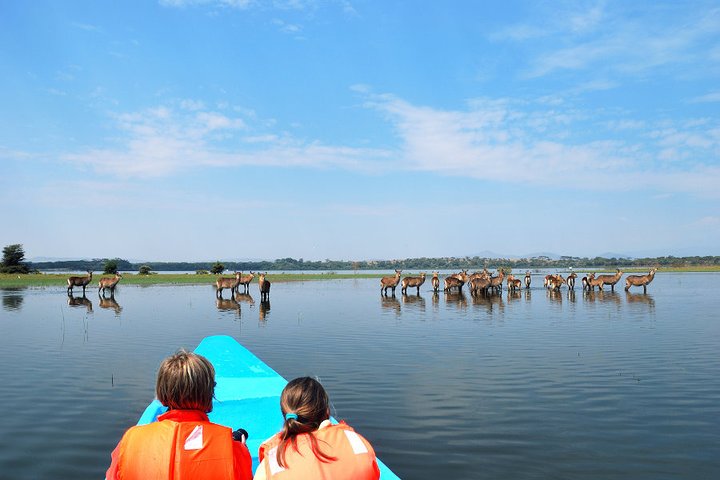 Full-Day Tour to Hell's Gate and Lake Naivasha from Nairobi