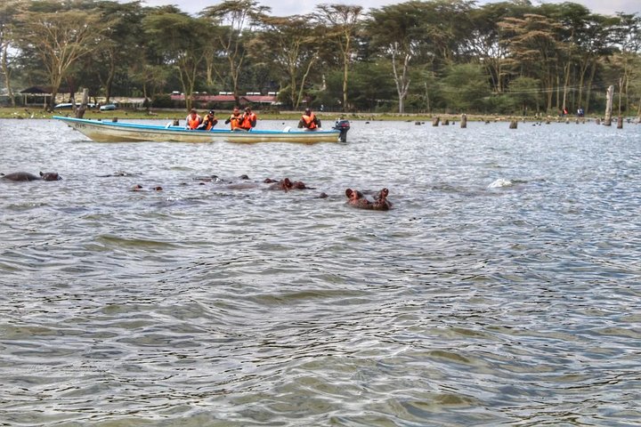 Full-Day Tour to Hell's Gate and Lake Naivasha from Nairobi