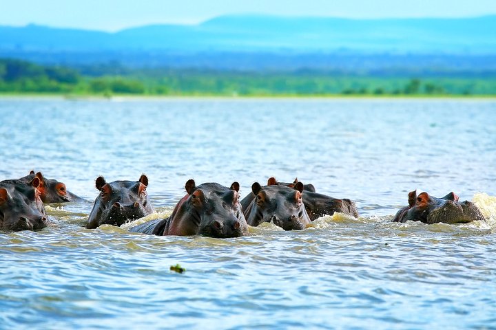 Full-Day Tour to Hell's Gate and Lake Naivasha from Nairobi