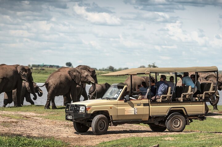Chobe Day Trip, Botswana Ex Victoria falls or Livingstone
