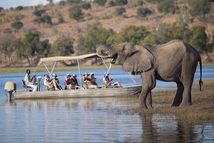 Chobe Day Trip, Botswana Ex Victoria falls or Livingstone