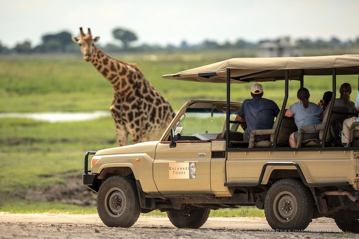 Chobe Day Trip, Botswana Ex Victoria falls or Livingstone