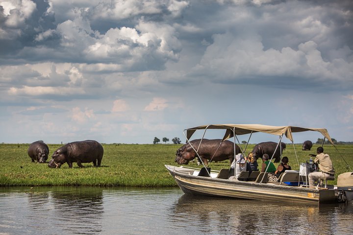 Chobe Day Trip, Botswana Ex Victoria falls or Livingstone