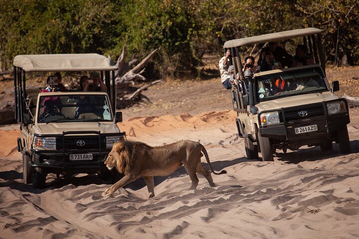 Chobe Day Trip, Botswana Ex Victoria falls or Livingstone