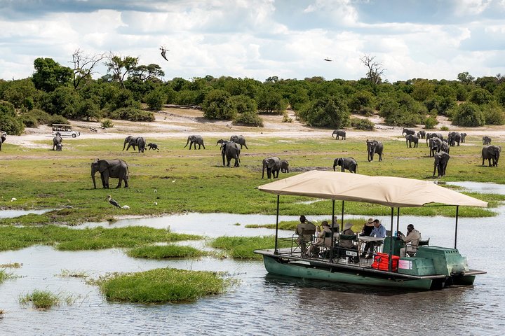 Chobe Day Trip, Botswana Ex Victoria falls or Livingstone