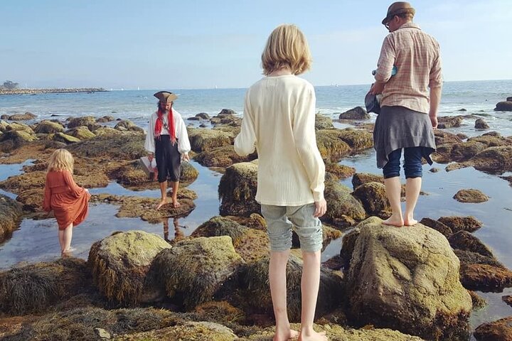 Pirate Sea Cave Tide Pool Walk at Dana Point