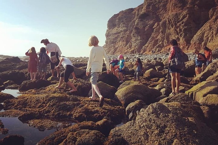 Pirate Sea Cave Tide Pool Walk at Dana Point
