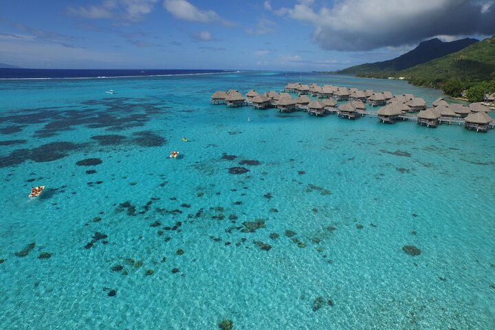 Sea Scooter Jet Snorkeling : Swim with Turtles, Rays & Sharks