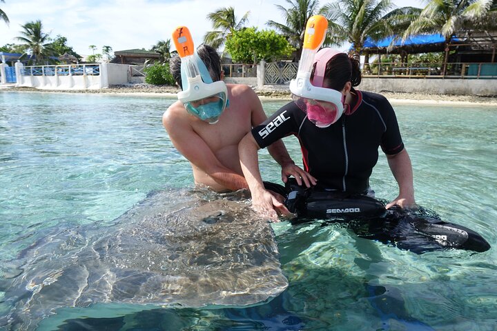 Sea Scooter Jet Snorkeling : Swim with Turtles, Rays & Sharks