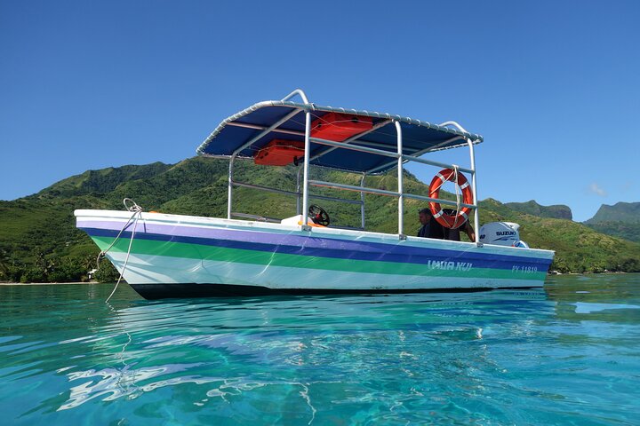 Sea Scooter Jet Snorkeling : Swim with Turtles, Rays & Sharks