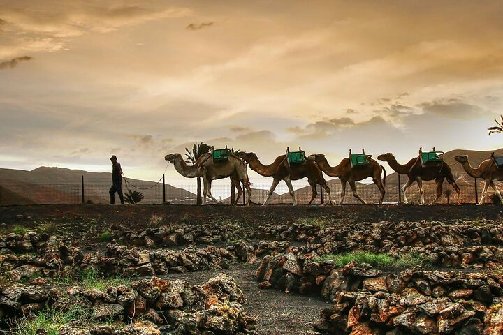 Private excursion in Lanzarote, minibus and guide available