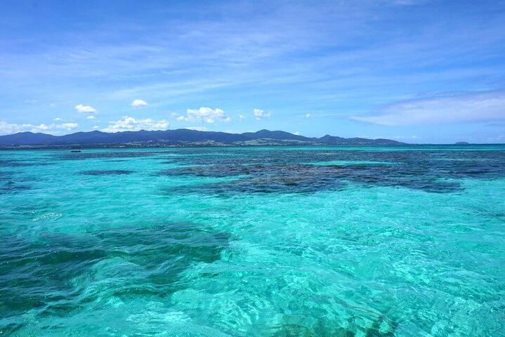One-day boat trip to the lagoon of Guadeloupe
