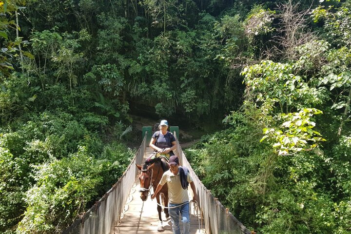 Private Full-Day Tour to Gocta Waterfall