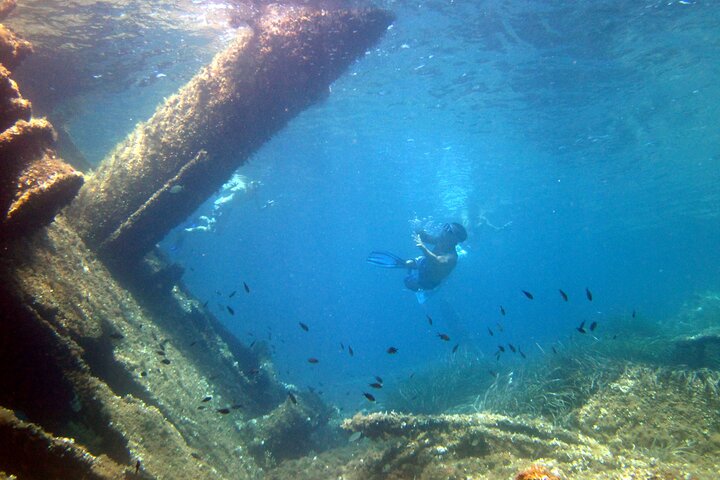 Boat tour to explore the Marine Protected Area of Tavolara