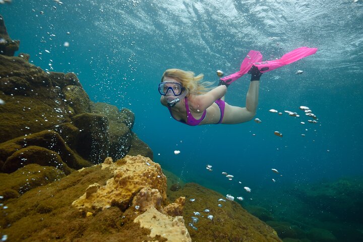 Champagne Reef, Bubble Beach and Scotts Head Snorkeling tour by boat in Dominica