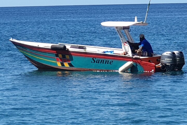 Champagne Reef, Bubble Beach and Scotts Head Snorkeling tour by boat in Dominica