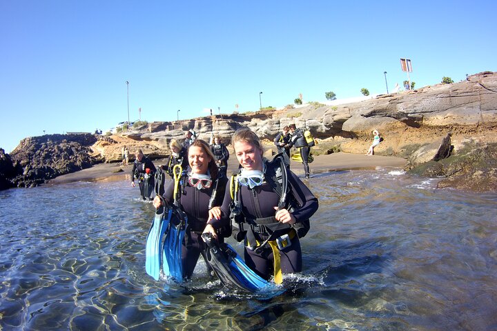 Scuba Diving Beginner's Session in Costa Adeje