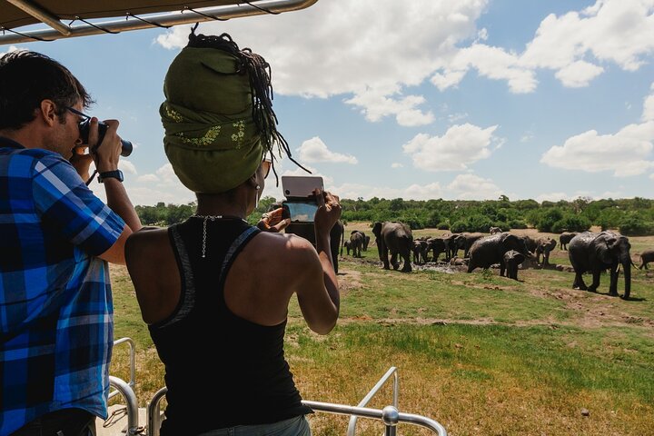 Chobe Day Trip, Botswana Ex Victoria falls or Livingstone
