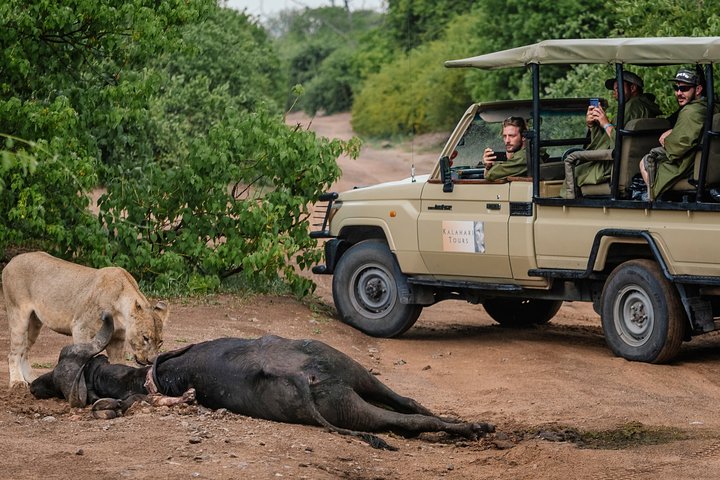 Chobe Day Trip, Botswana Ex Victoria falls or Livingstone