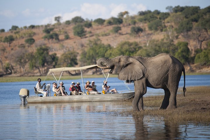 2 Nights 3 Days Chobe Safari ex Livingstone/ Victoria Falls