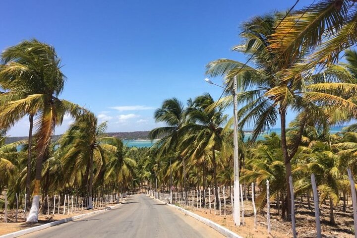 South Coast (French or Barra de São Miguel and Gunga)(GTE tours)
