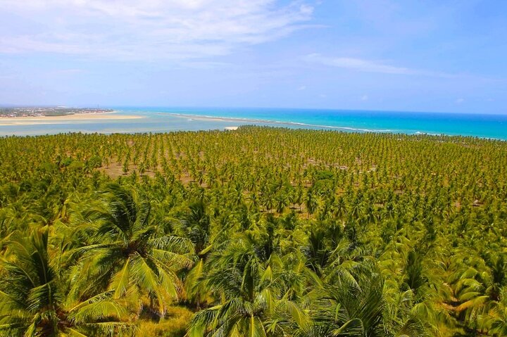 South Coast (French or Barra de São Miguel and Gunga)(GTE tours)