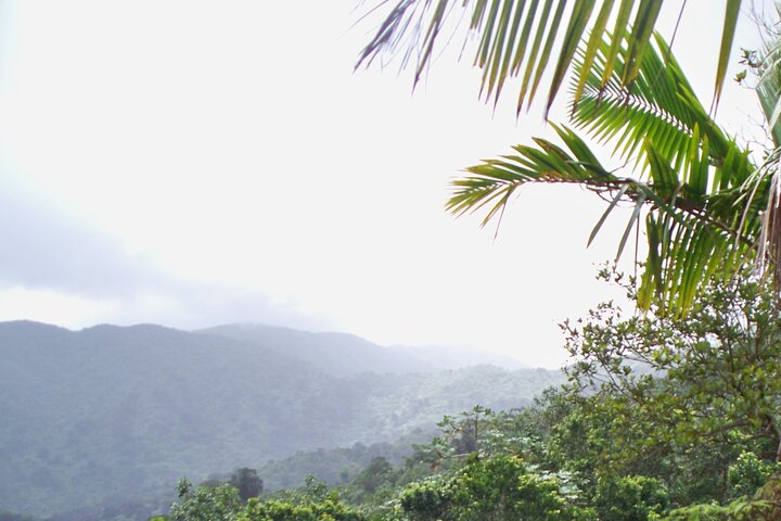 Half Day Tour in Rainforest Zipline Park with Transportation