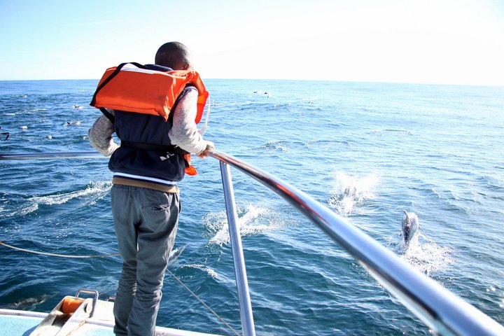 Whale Watching from Gansbaai