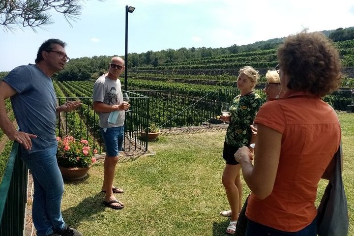 Private 6-Hour Tour of Three Etna Wineries with food&wine tasting